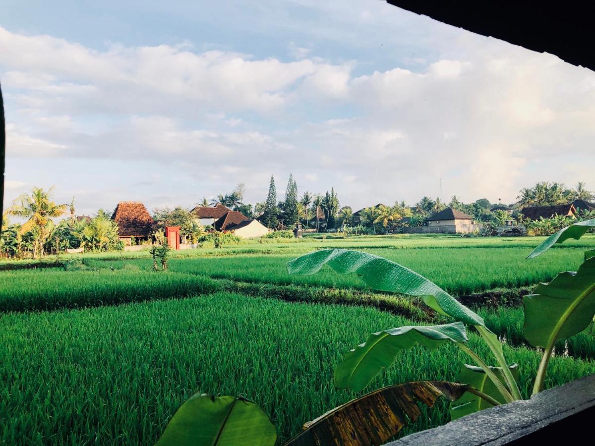 Umagama Villas Ubud  Luaran gambar