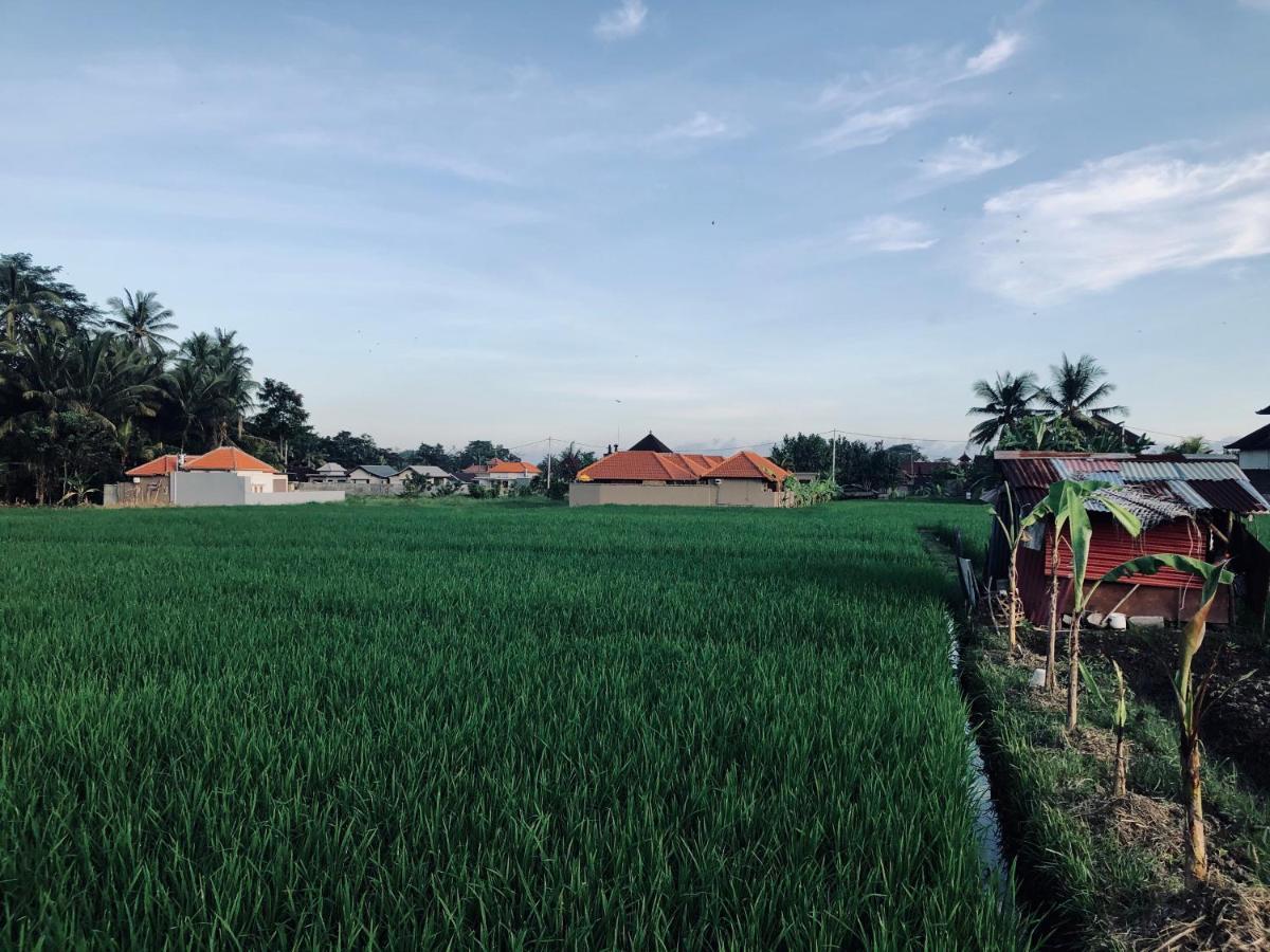 Umagama Villas Ubud  Luaran gambar