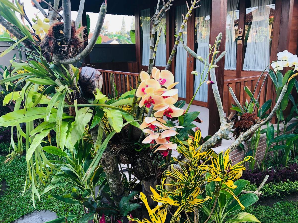 Umagama Villas Ubud  Luaran gambar